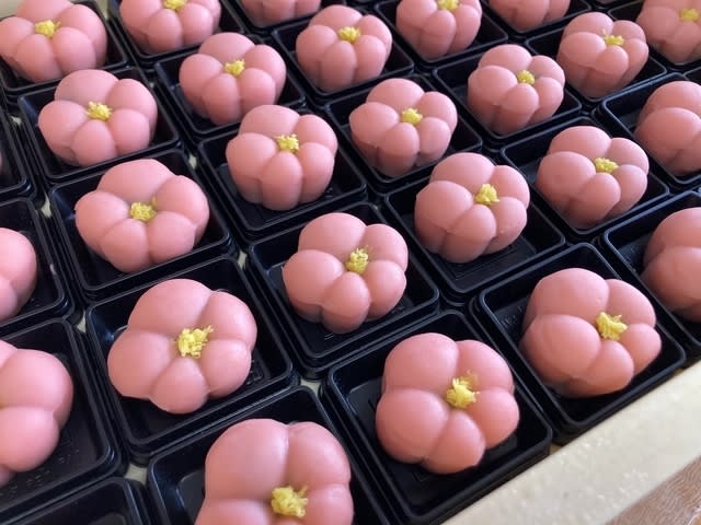 福梅 - 和菓子作りとお抺茶のお店ブログ 福梅 - 和菓子作りとお抺茶のお店ブログ