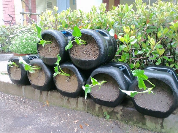 立体菜園花壇の野菜たち サツマイモの植付け wyz流立体菜園 緑花術 New Vertical Edible Garden Technique 立体菜園花壇の野菜たち サツマイモの植付け wyz流立体菜園 緑花術 New Vertical Edible Garden Technique