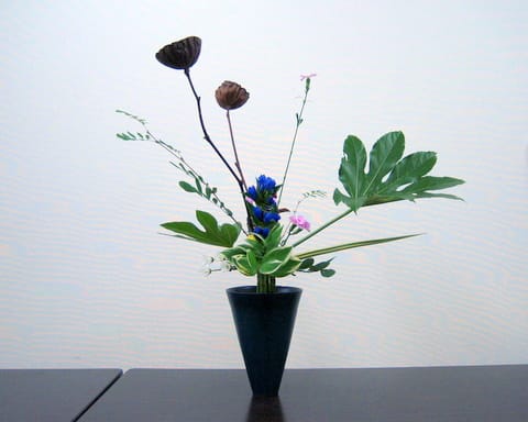 ヤツデ の 立花と 自由花 池坊 花のあけちゃんブログ明田眞子 花の力は素晴らしい 広島で４０年 池坊いけばな教室 熱心な方々と楽しく生けてます