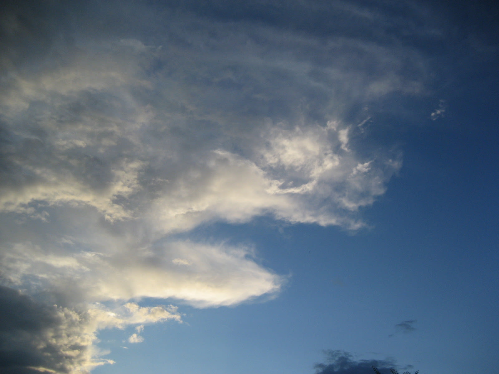 Mr Children 祈り 涙の軌道 Pv Gooブログはじめました