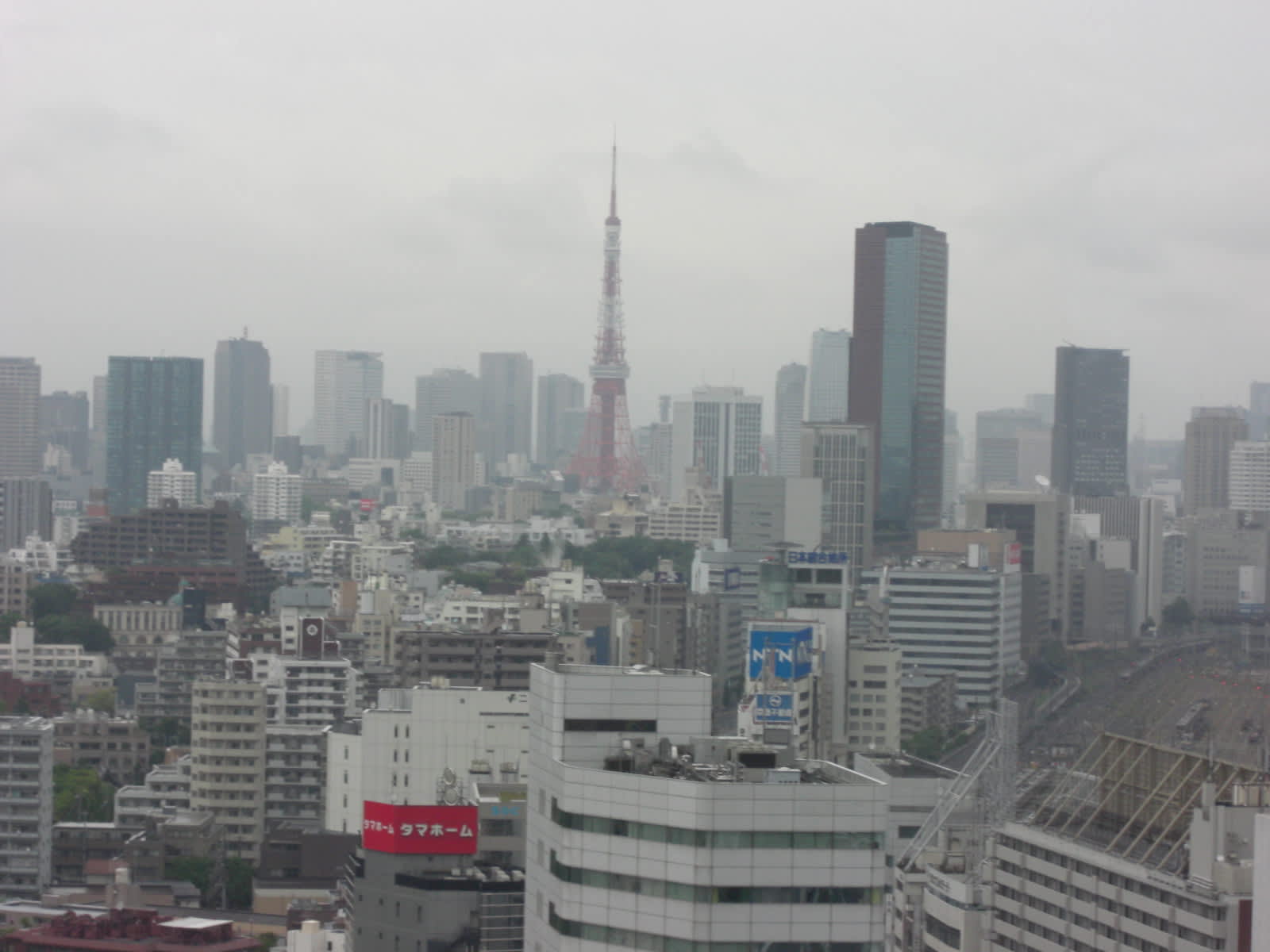 雨の東京と 嬉しいお知らせ ムツゴロウ親父の独り言