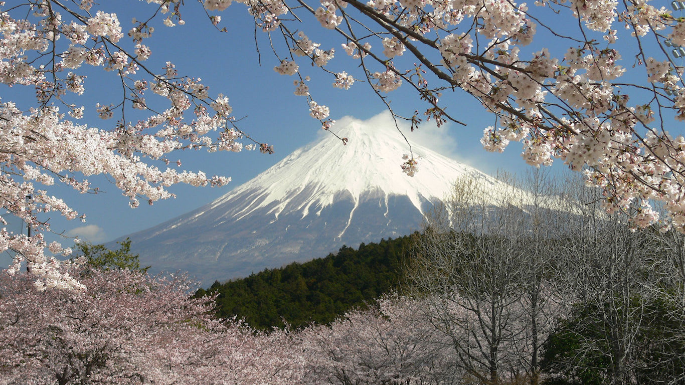 満開 桜と富士 パソコンときめき応援団 壁紙写真館