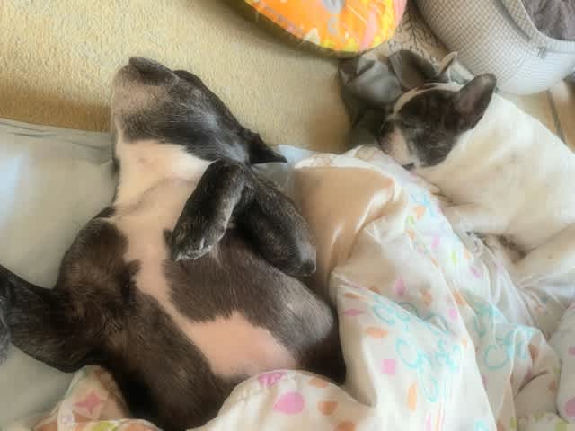 うぅ っ 子離れしなきゃね