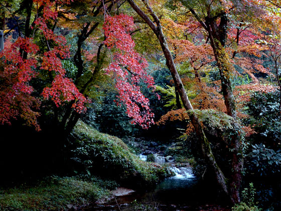 行って楽しい奈良の紅葉名所 Tetsudaブログ どっぷり 奈良漬