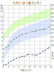 １歳５ヶ月 成長曲線グラフ 08年5月15日 30週2日 1008ｇで生まれた寛太朗の成長記録