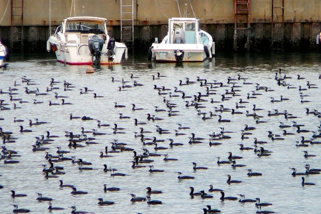 俄に空が・・・の画像