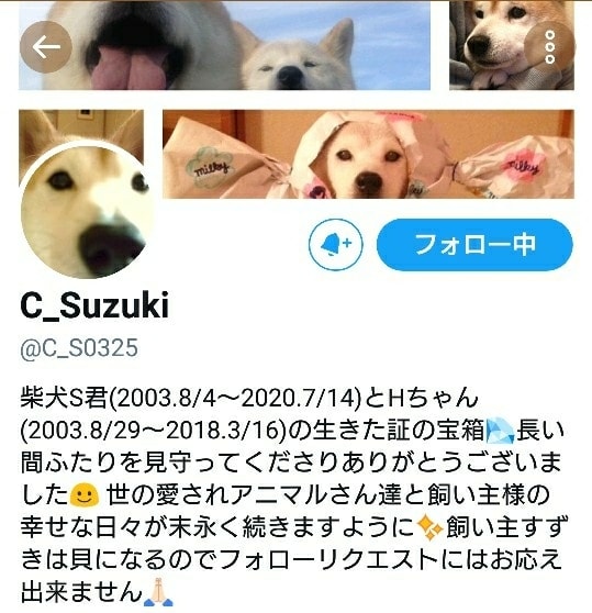 癒され犬猫ツィート 8件 ある晴れた日に