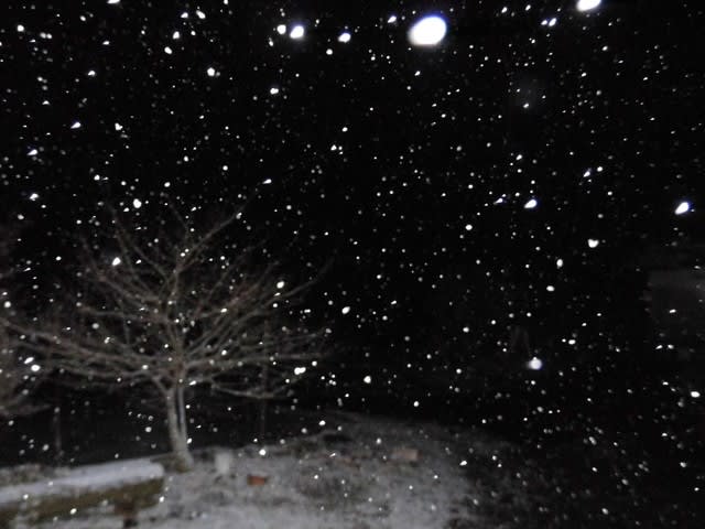 令和2年3月15日 激しく降る雪の夜に とくしま山だより