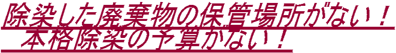 除染した廃棄物の保管場所がない！ 　本格除染の予算がない！