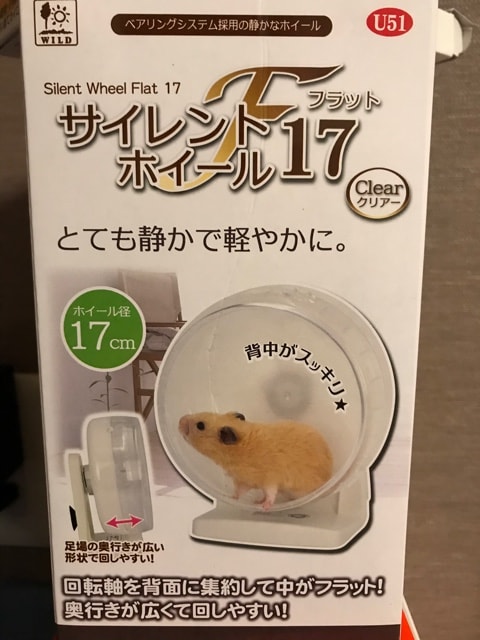 国内発送】 サイレントホイール フラット12 qdtek.vn 国内発送】 サイレントホイール フラット12 qdtek.vn