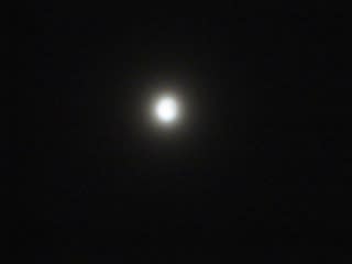 イメージ 13