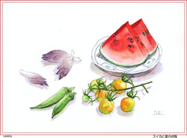スイカと夏の収穫 おさんぽスケッチ にじいろアトリエ 水彩 色鉛筆イラスト スケッチ