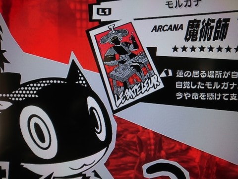 ネタバレ P5 ヘンな猫とビンボー絵描き 秋津的最近のニュース