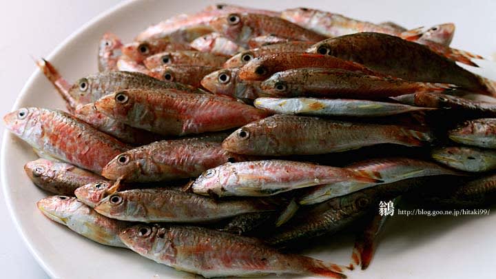 ヒメジのお刺身 鏡面界 魚食系女子の気まぐれ雑記帖