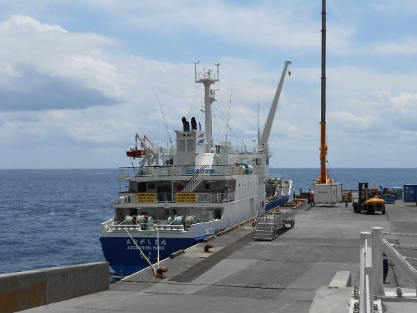 伊豆諸島開発 のブログ記事一覧 ブチウシ牧場 の船アルバム