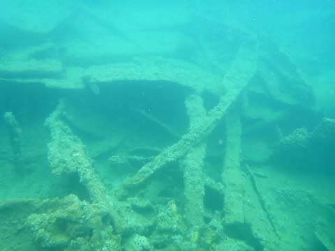 十数年ぶりに対面かな 濱江丸 ひんこうまる 東京アイランド