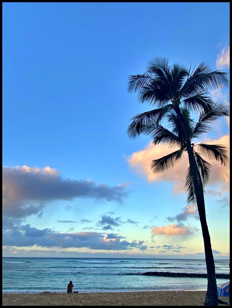 色んな風景 ハワイ ワイキキの朝 フォトログ