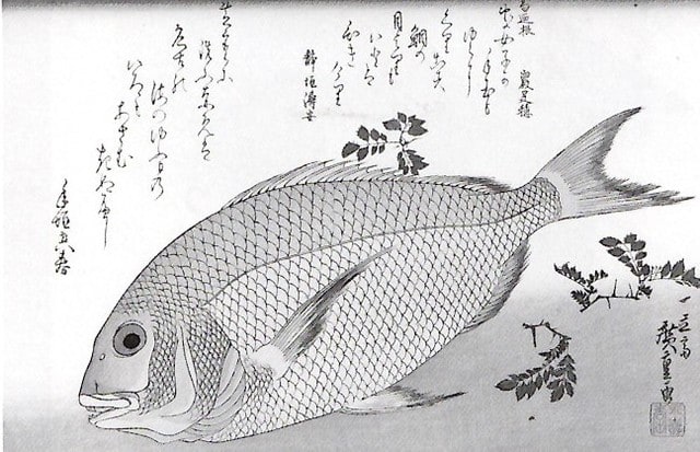 楽書き雑記 浮世絵師 歌川広重は魚も描いていた 名古屋の三菱ｕｆｊ銀行貨幣資料館で広重の 魚づくし 展 風の遊子 ゆうし の楽がきノート