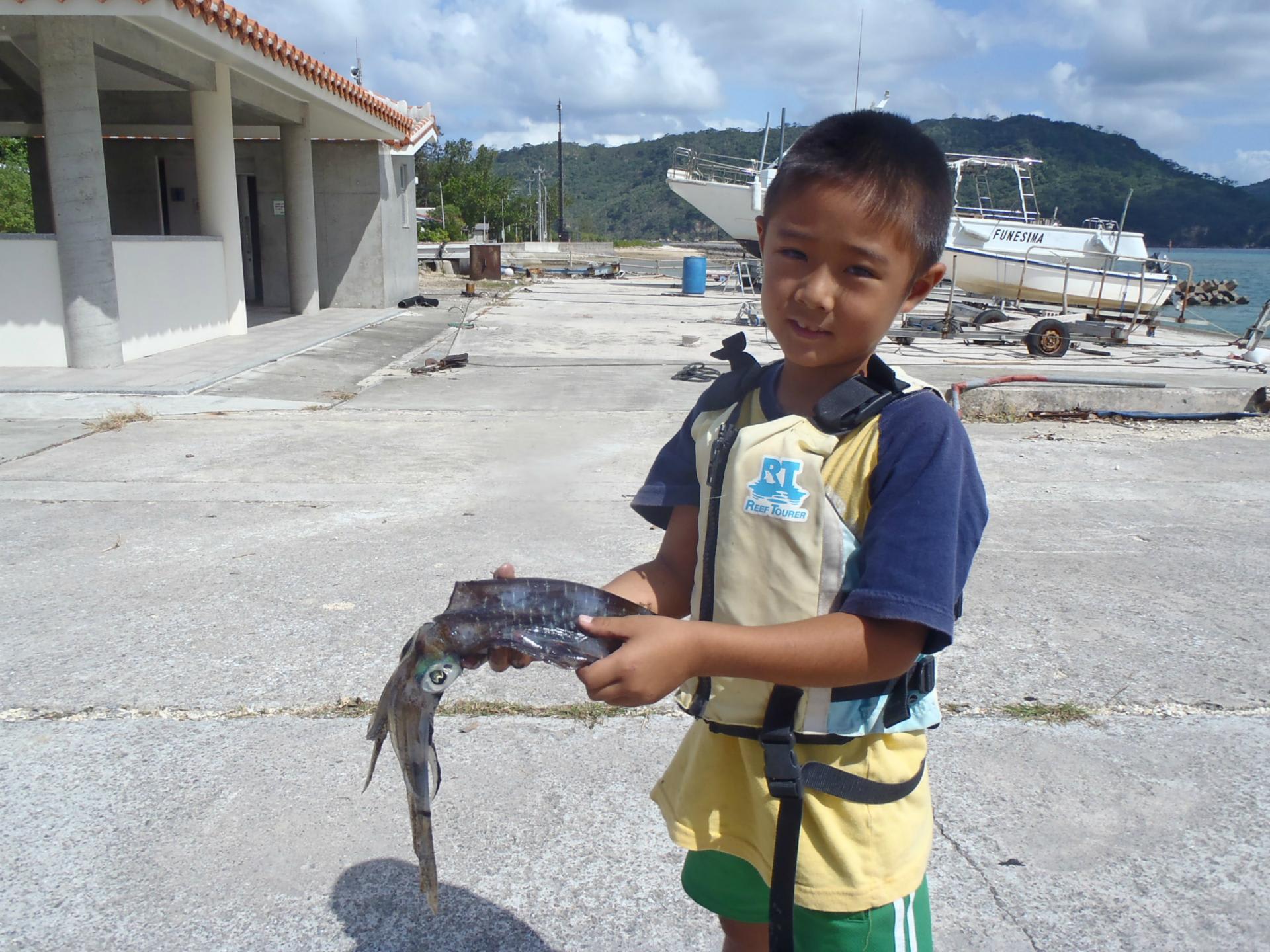 イカ釣りシーズン到来 沖縄県 西表島の家族日記