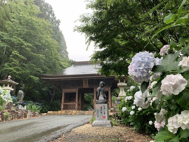 豊橋 浜松観光 御朱印巡り 梅雨のデートなら 豊橋のもみじ寺 普門寺 紫陽花３００株が見頃です 切り絵御朱印 発祥 豊橋のもみじ寺 普門寺 ブログ 永代供養 樹木葬 納骨堂 レンタル式お墓