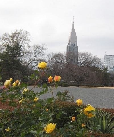 イギリス風景式庭園 新宿御苑 山本飛鳥の 頑張れコリドラス イギリス風景式庭園 新宿御苑 山本飛鳥の 頑張れコリドラス