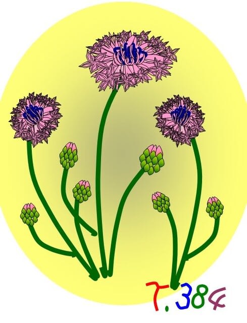 やはり世話もしないで花だけ楽しむのはダメですね おばちゃんのぶろぐ おもしろイラスト てるてる姫とその仲間たち