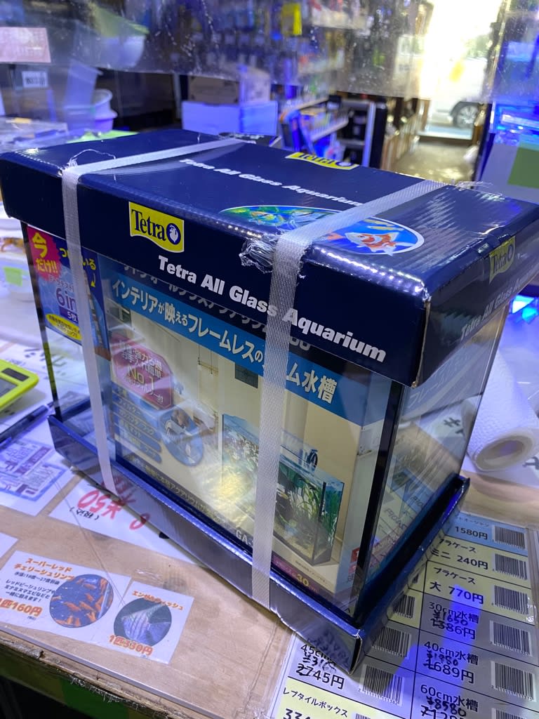 未使用テトラ30cmガラス水槽 モンスターアクアリウム レプタイルズ 買取販売情報 未使用テトラ30cmガラス水槽 モンスターアクアリウム レプタイルズ 買取販売情報