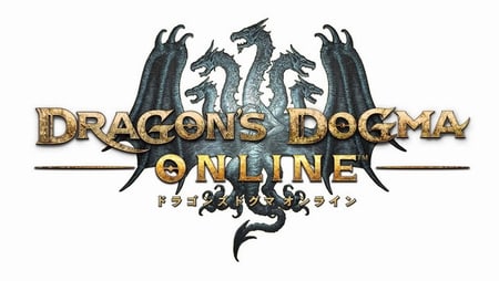 Ddon ドラゴンズドグマ オンライン ズール攻略への道 Yso団 青春日記 モンスターハンターライズやmhwアイスボーン等の情報 攻略 動画 雑記 交流 プレイ日記