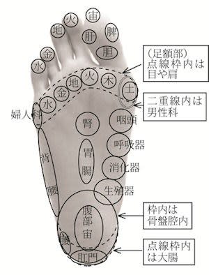 踵 かかと 寄りの土踏まずのところを押すと痛い 3 25臨床実践塾の準備 ハリックの診断即治療 虹彩と Kenさんの経済学 スケッチ