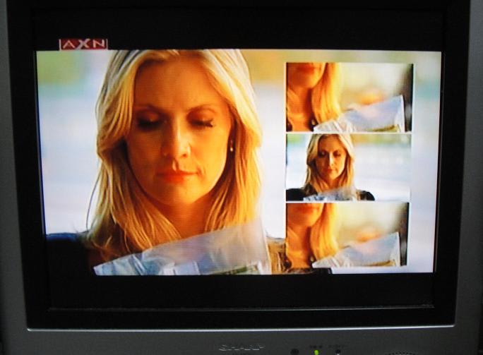 魅せる csi マイアミ セレヤの山の下で