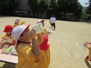 イルカタイム しゃぼんだま遊び Part1 学校法人沖学園 玉水幼稚園 レインボーブログ