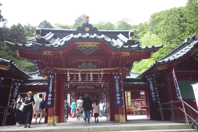 箱根神社の安産スギ あられの日記