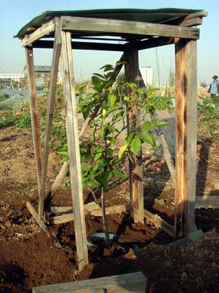 Photo_2 Photo_2