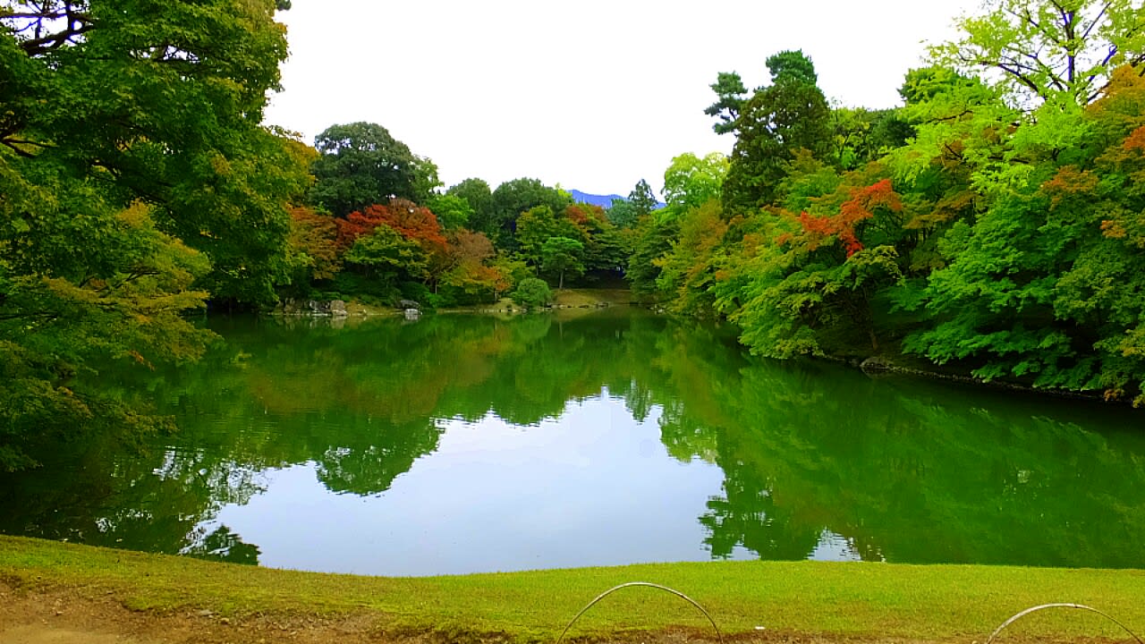 仙洞御所を見学 - 京都で定年後生活