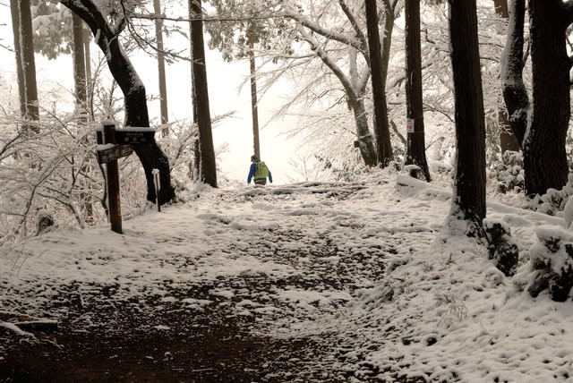 日の出山 ヤマメシ 日の出山 ヤマメシ