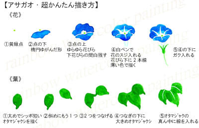 アサガオ 超カンタン 描き方 花と葉 おさんぽスケッチ にじいろアトリエ 水彩 色鉛筆イラスト スケッチ