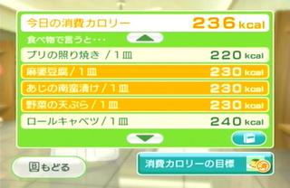 Wii Wii Fit Plus 開始 Room Of Accyu