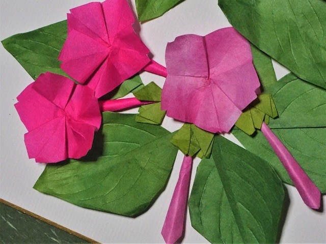 オシロイバナ 舟の皿を折る 花遊び 山遊び