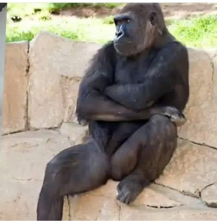 批判ネタ 頑張れ じゃがいも３兄弟 自分に甘く 子供に厳しい親父の日記パート２