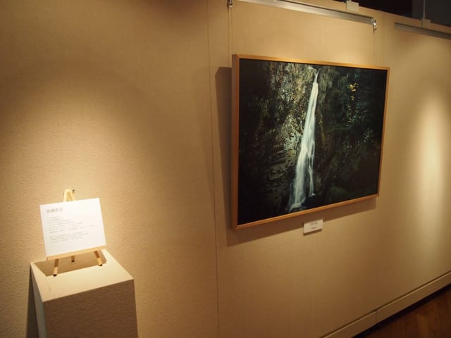 山岳写真家、岩橋崇至さんの作品を展示しています！ - セレネでお茶しませんか？