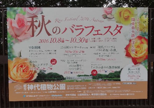 薔薇の名前 神代植物園 16 秋のバラフェスタ いか 武相境斜面寓 看猫録