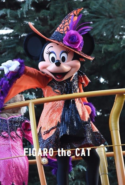 ハロウィーンポップンライブのミニーちゃん ２０１７年１０月 Figaro The Cat