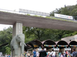 多摩動物公園 自然のシャワーを浴びながら パート２