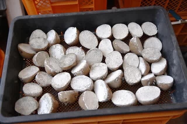 植え付け完了 南飛騨からこんにちは