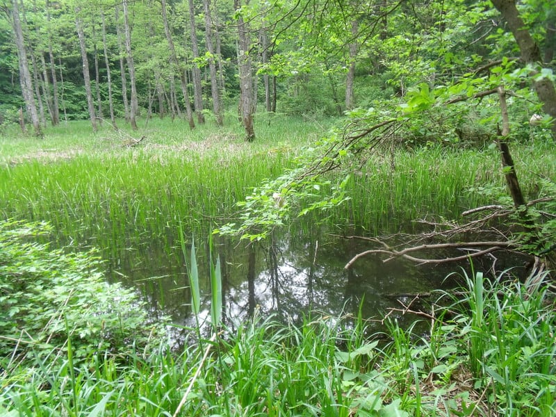 Dscf2747 Dscf2747