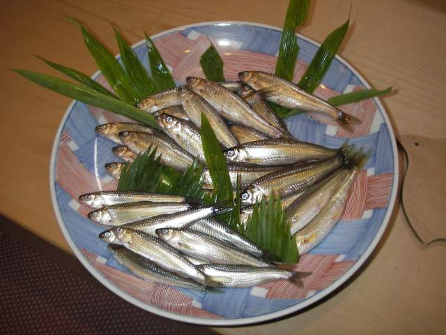 ホンモロコを食べる ホントのもろこだった リバーリバイバル研究所