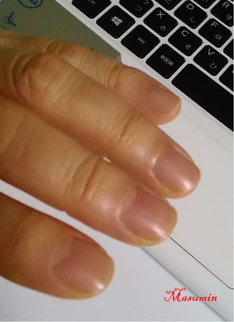 たかが爪切り されど マスミンのピアノの小部屋