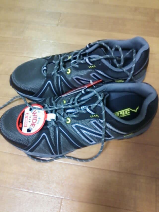 ムーンスターファミリーセール 日々のこと