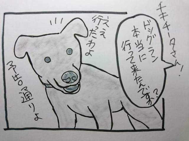 ドッグランに行ってきたよ ゴン太郎先生 ドッグランに行ってきたよ ゴン太郎先生