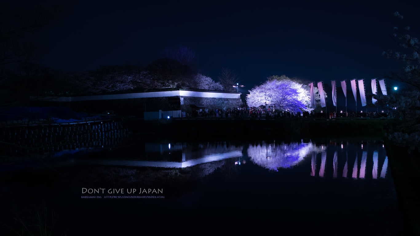 夜桜 壁紙ing管理人の写真ブログ